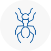 Ant Removals In Wincanton