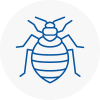 Bed Bug Extermination In Wincanton