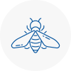 Bee Nest Removal Wincanton
