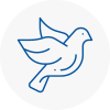 Bird Prevention Wincanton