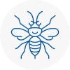 Wincanton Hornet Nest Removals