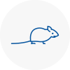 Mice Exterminators In Wincanton