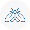 Moth Control Specialists In Wincanton