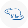 Rat Control Wincanton