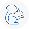 Wincanton Rodent Removals