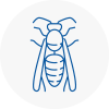 Wincanton Wasp Nest Removal